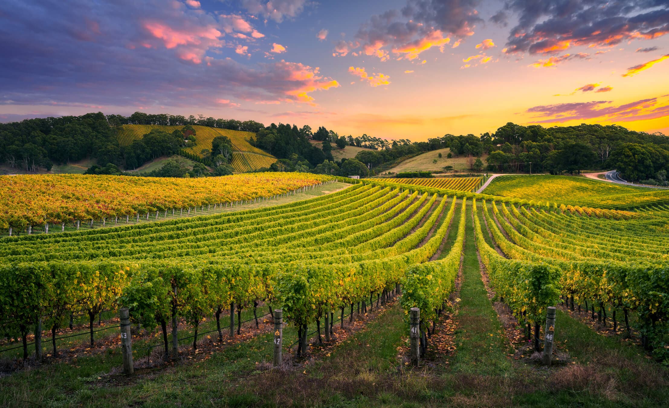 Winery 1