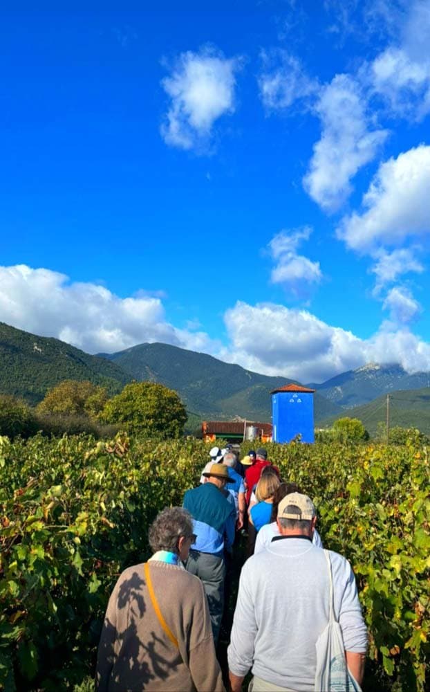 Kalogris Organic Winery - 11