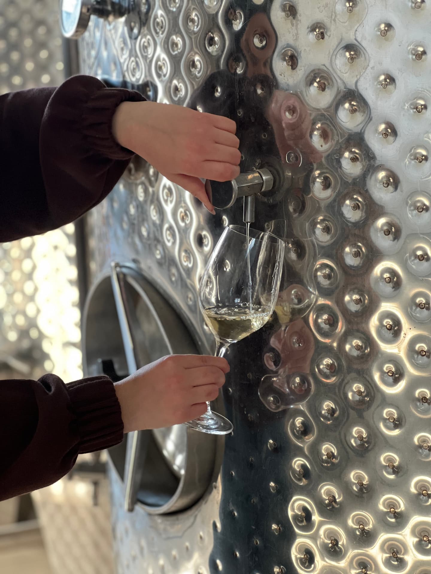 Garalis Winery - 10