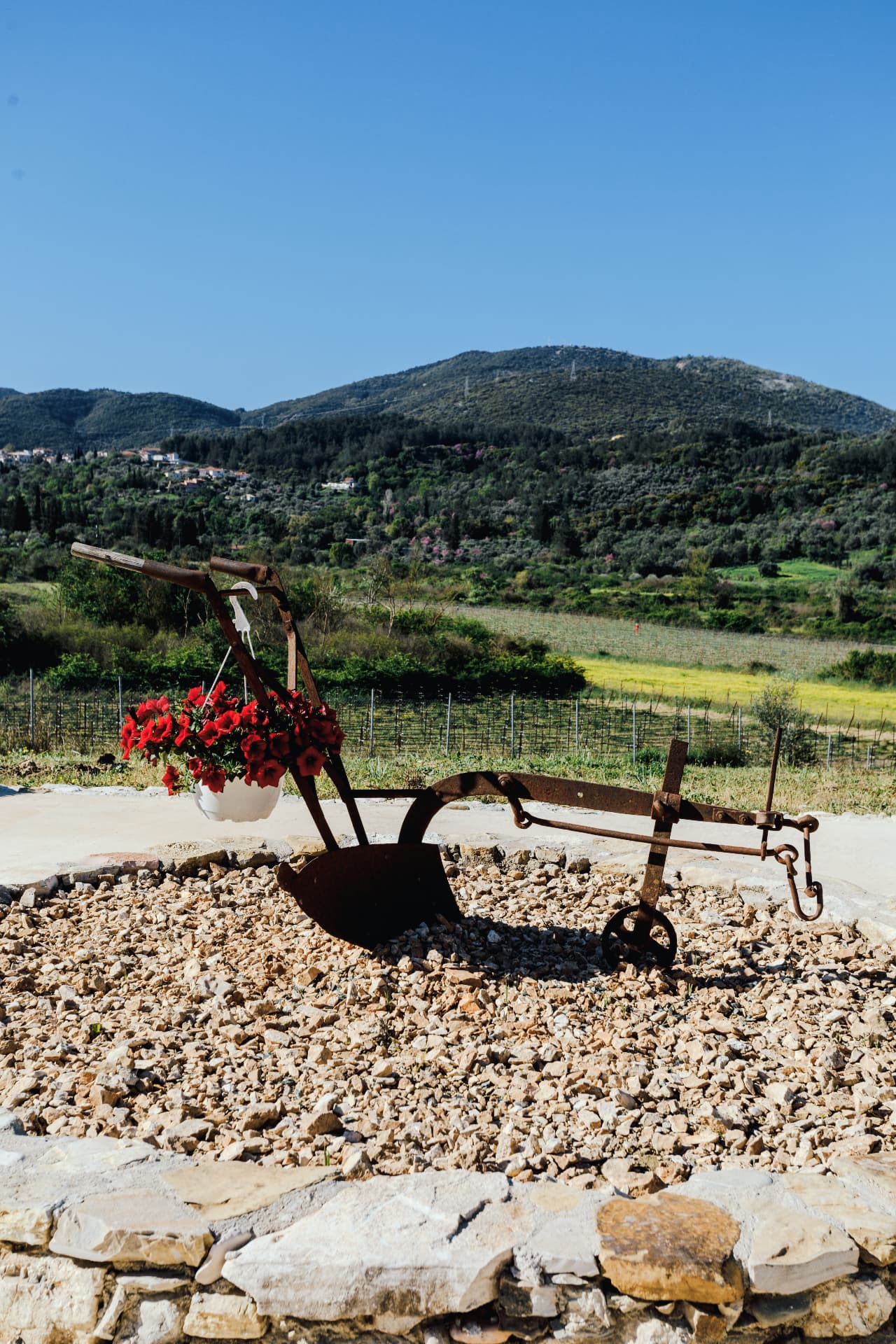 Zervas Winery - 14