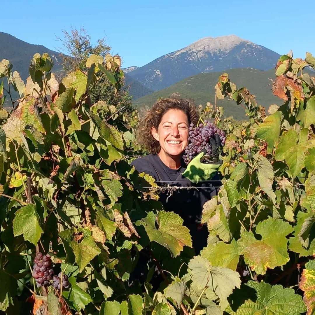 Kalogris Organic Winery - 14