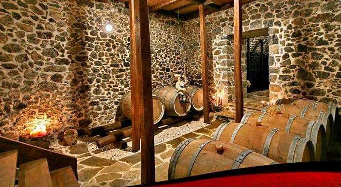 Kalogris Organic Winery - 27