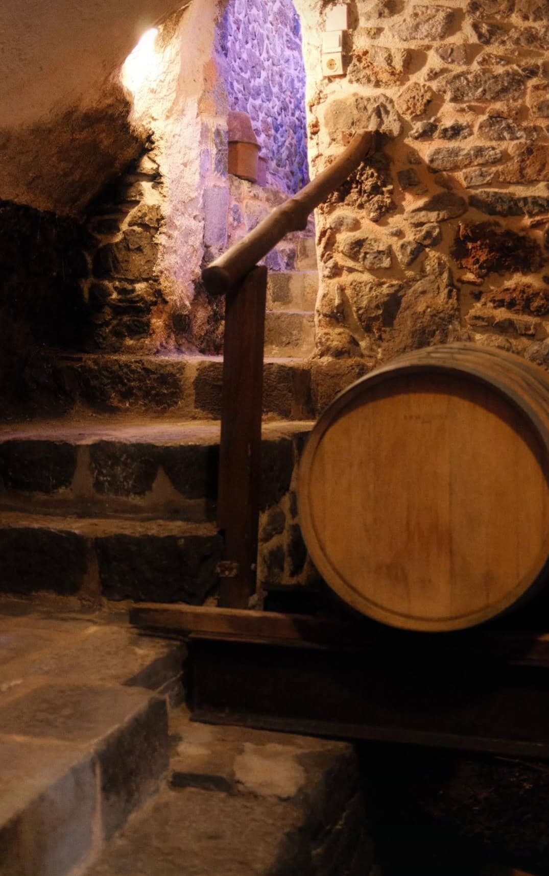 Kalogris Organic Winery - 17