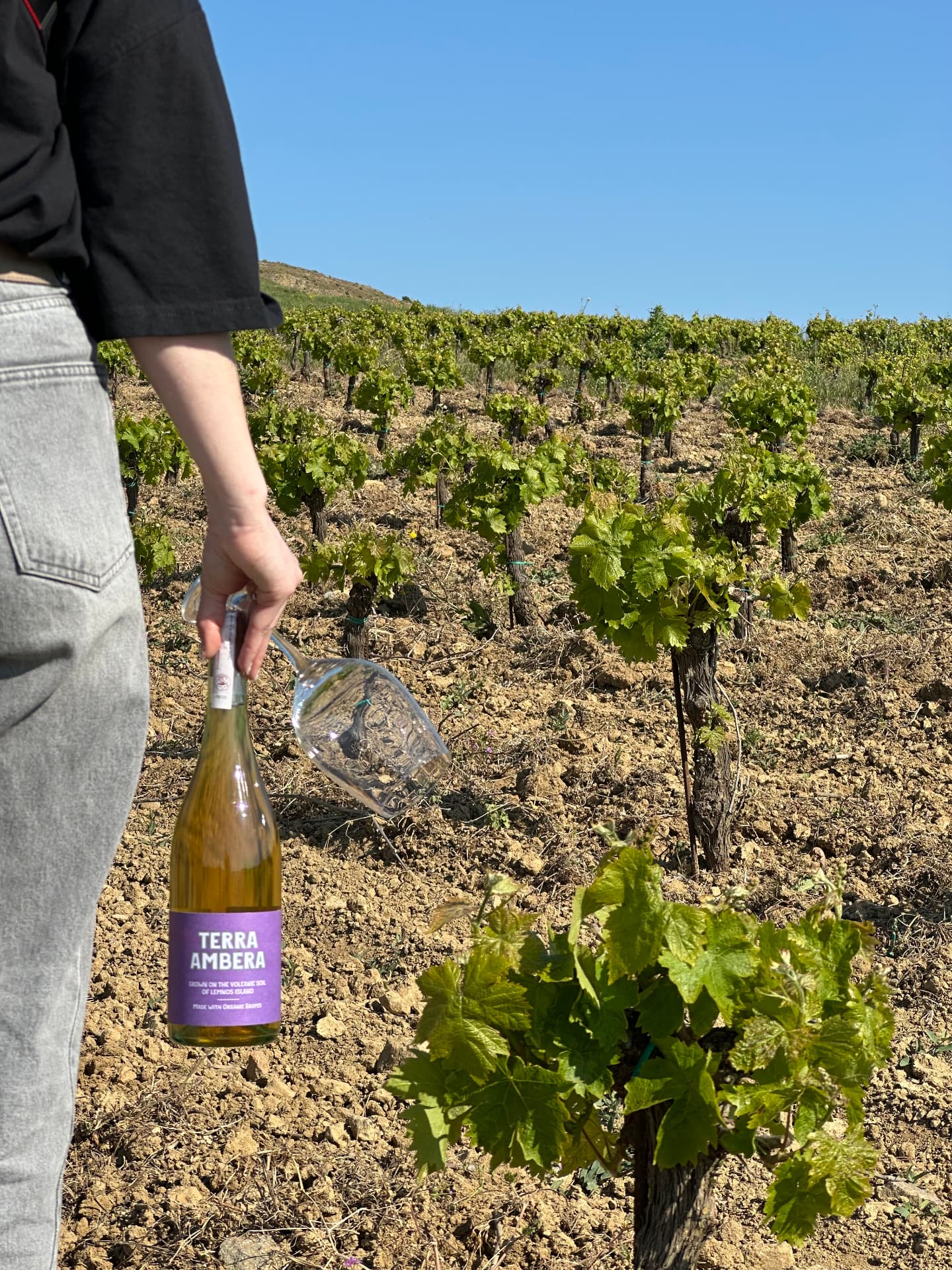 Garalis Winery - 6