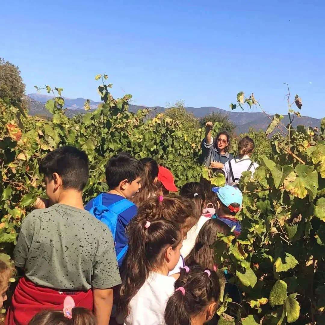 Kalogris Organic Winery - 41