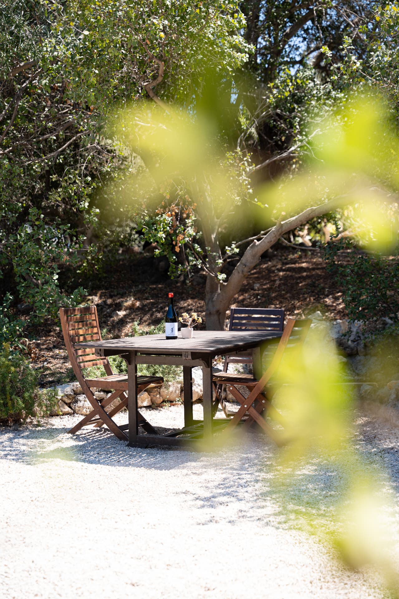 Gentilini Winery & Vineyards - 10