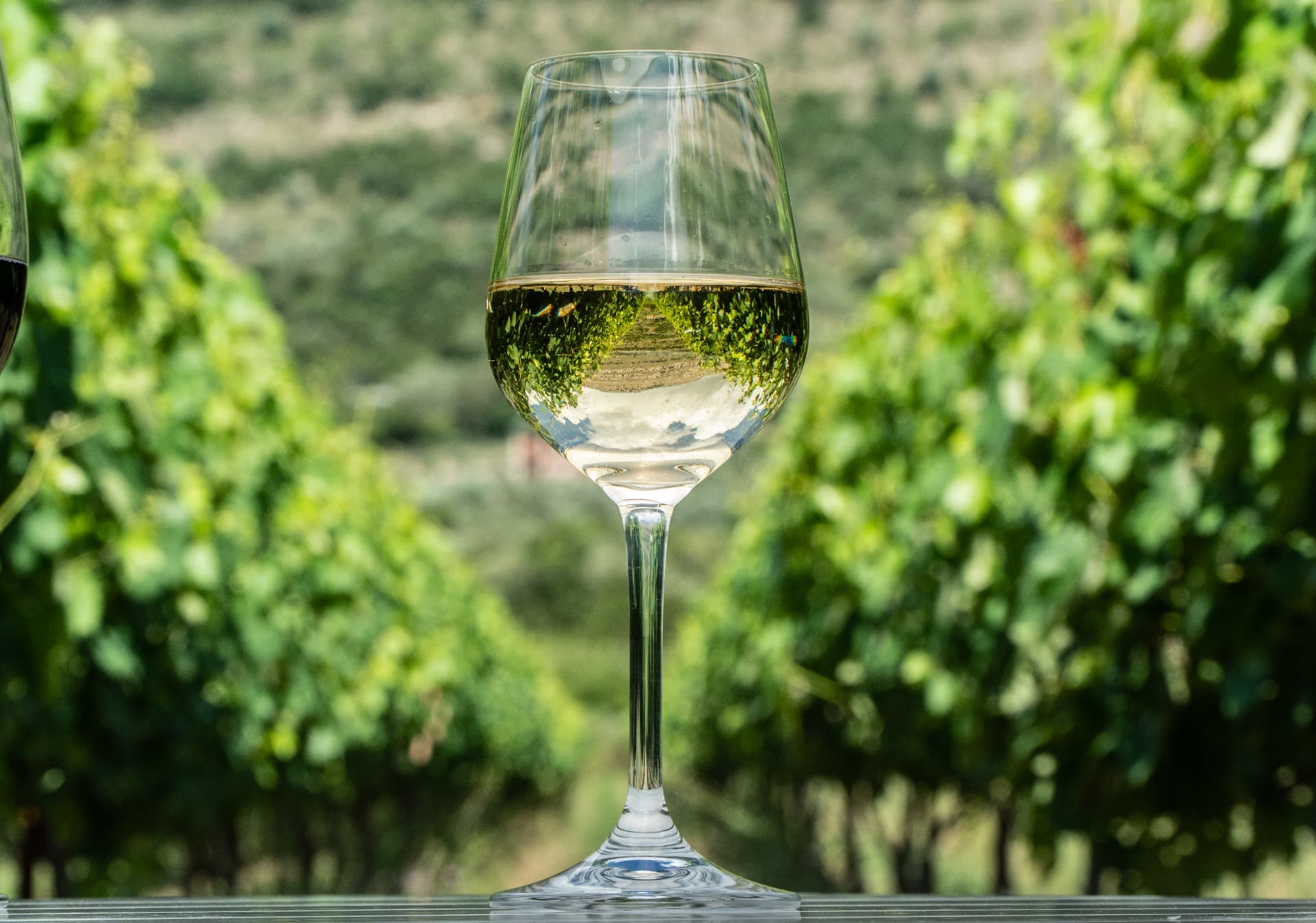 Zervas Winery - 10
