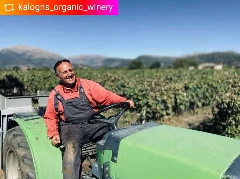 Kalogris Organic Winery - 39