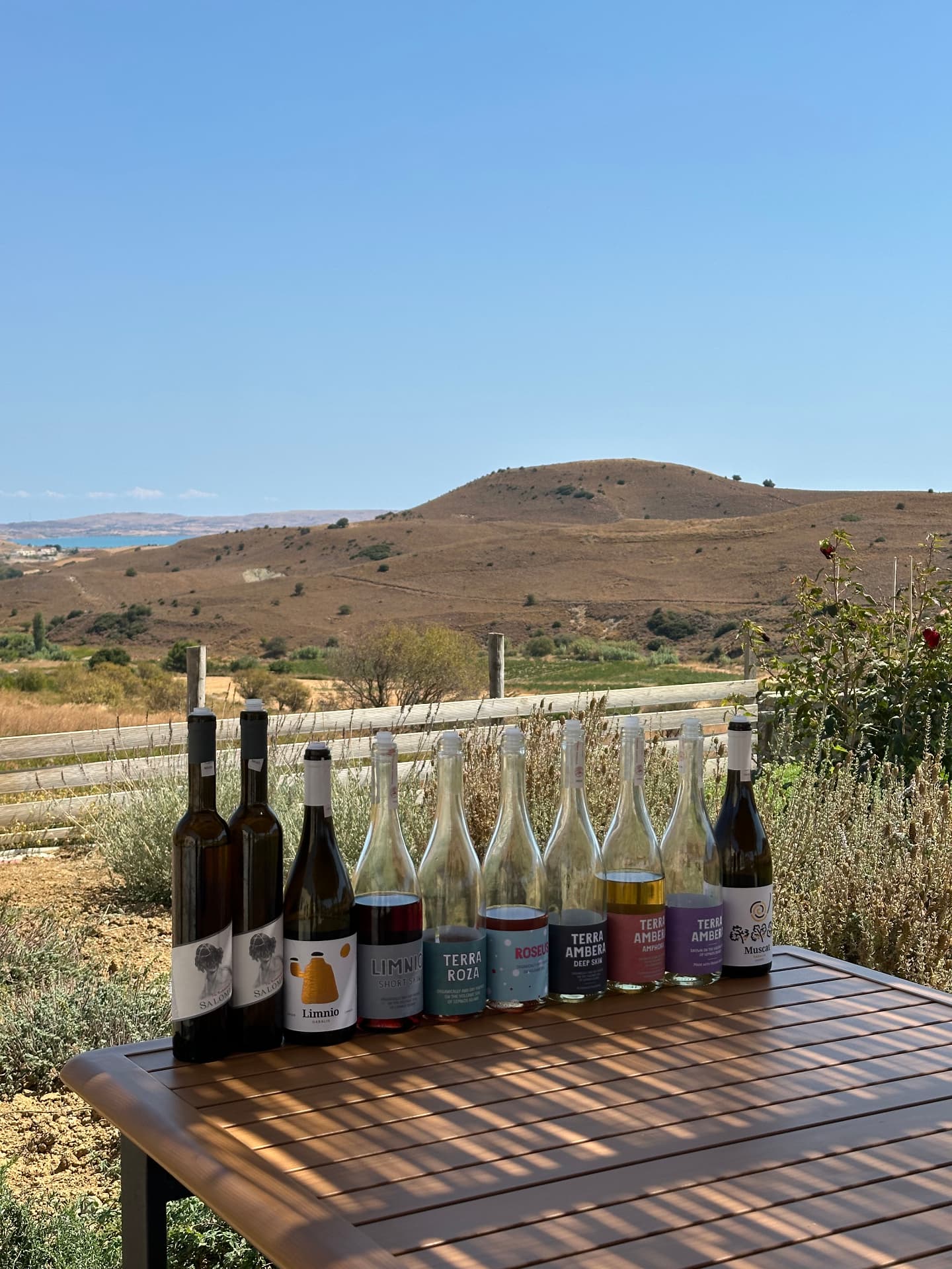 Garalis Winery - 12