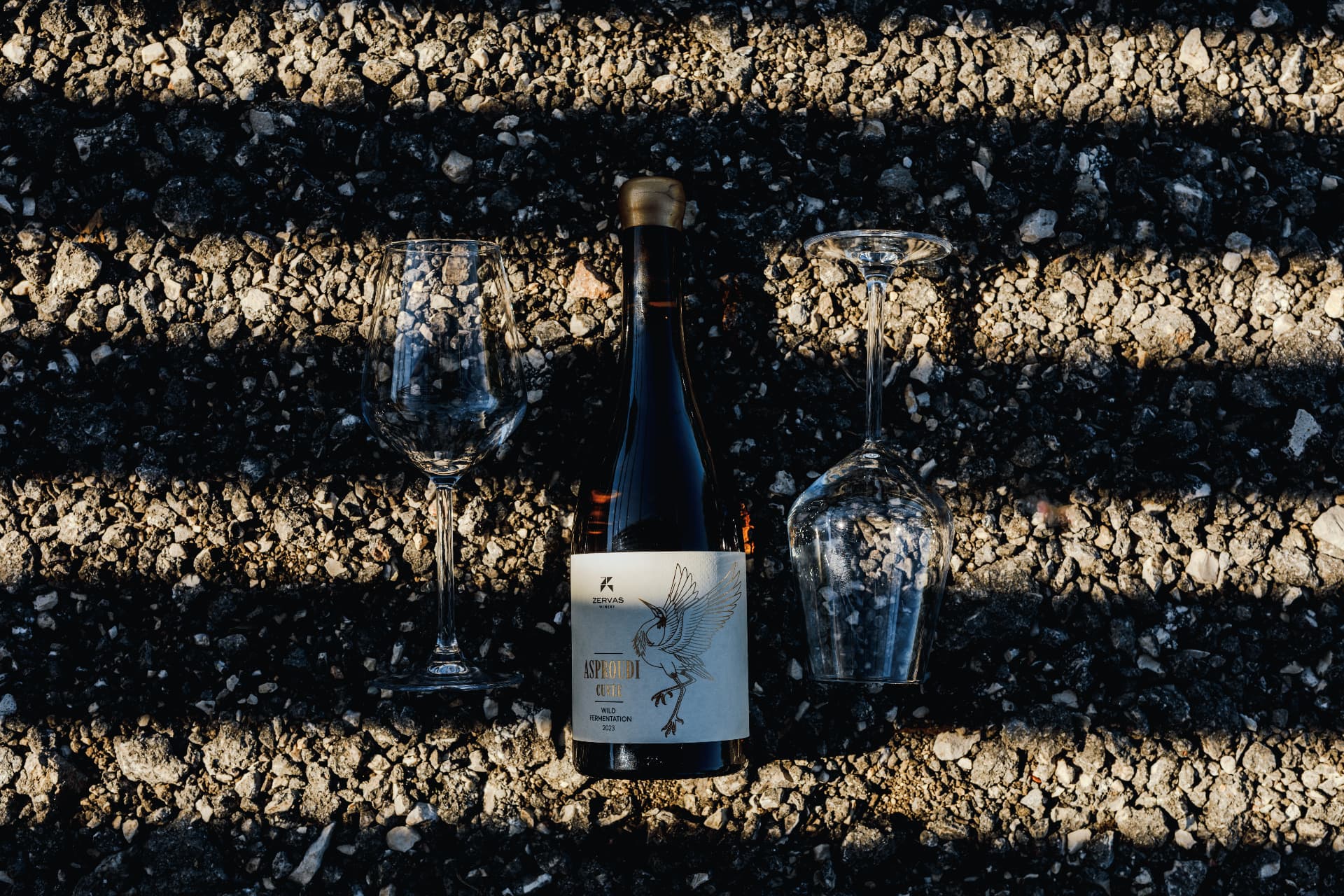 Zervas Winery - 22