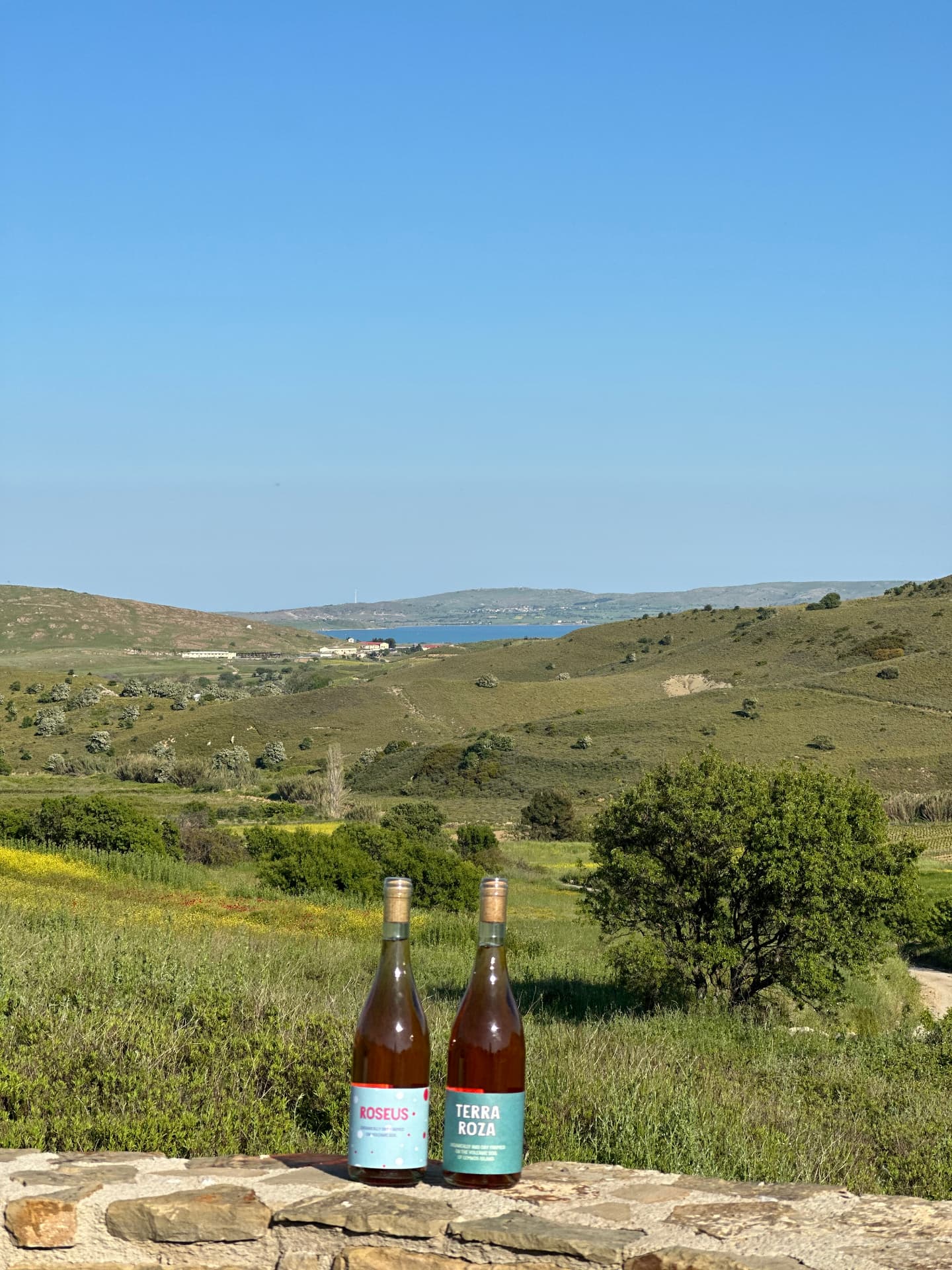Garalis Winery - 8
