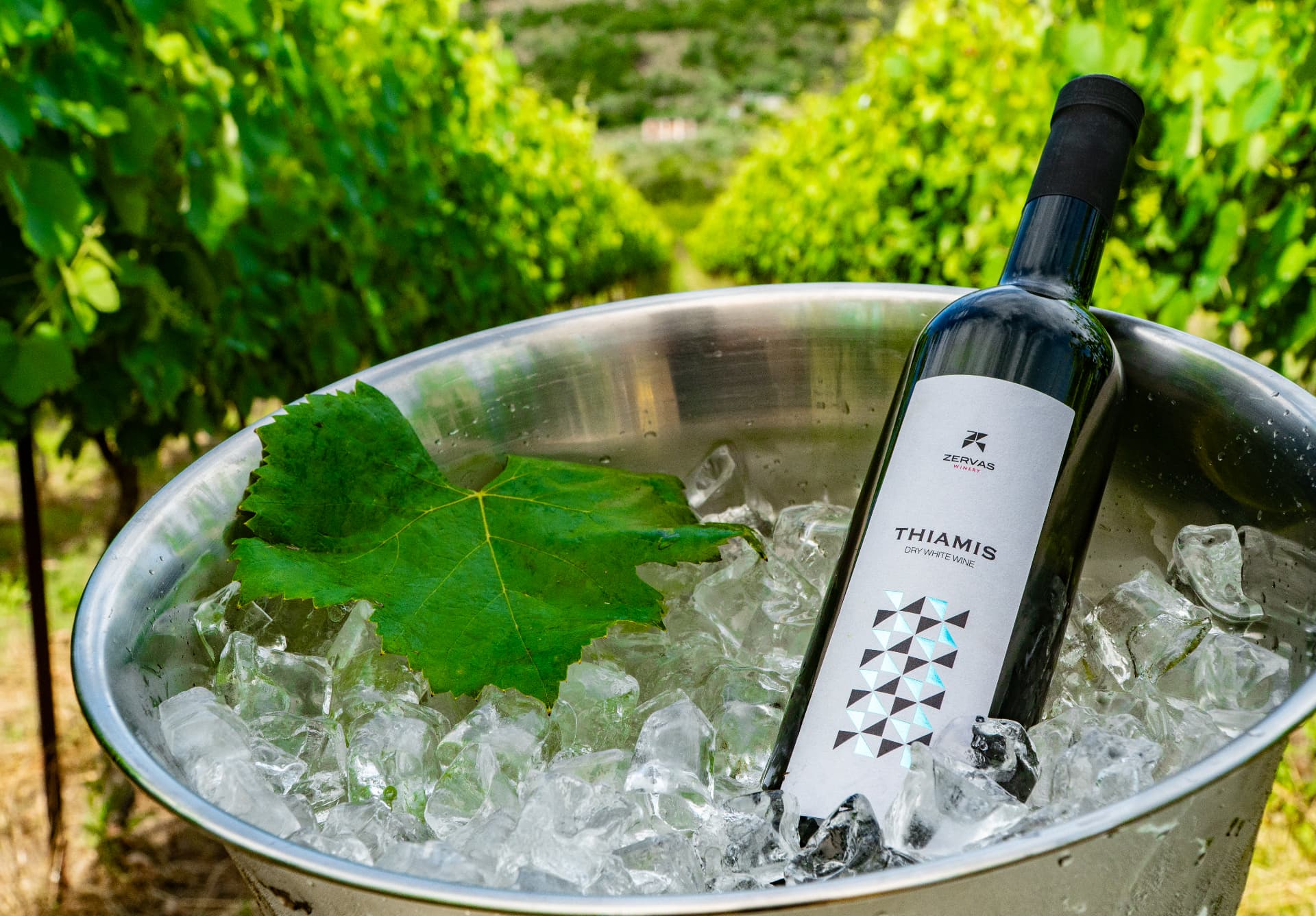 Zervas Winery - 12