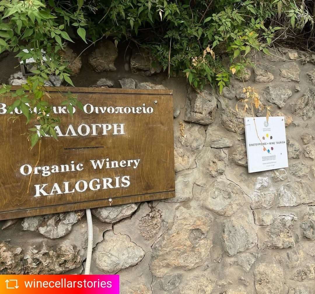 Kalogris Organic Winery - 42