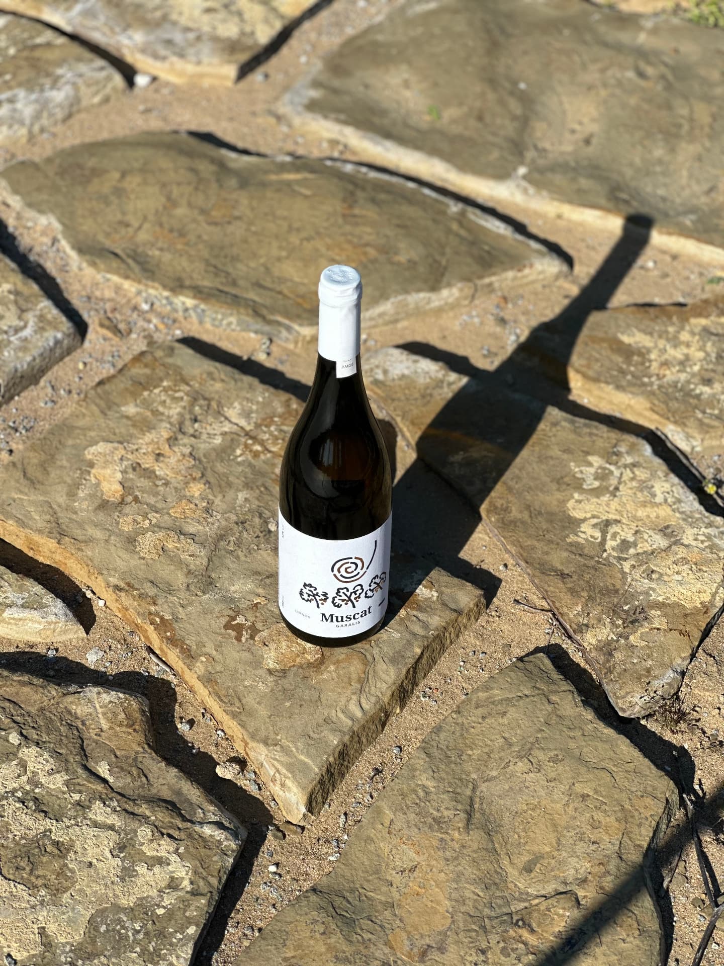 Garalis Winery - 8