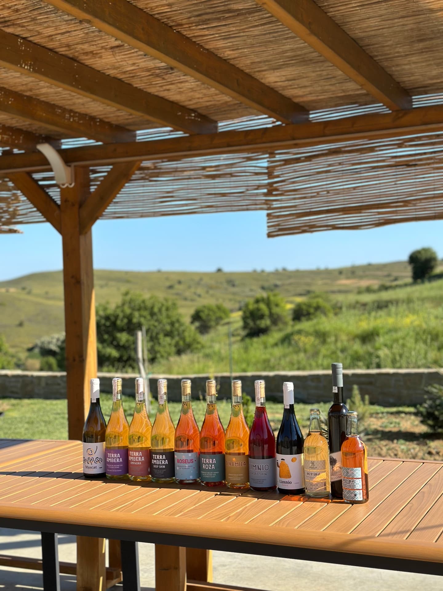 Garalis Winery - 12