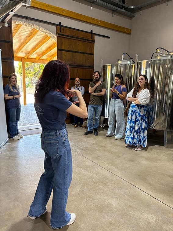 Armathos Winery - 15