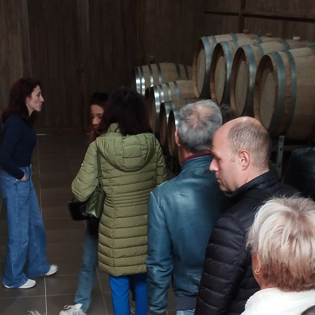Armathos Winery - 5