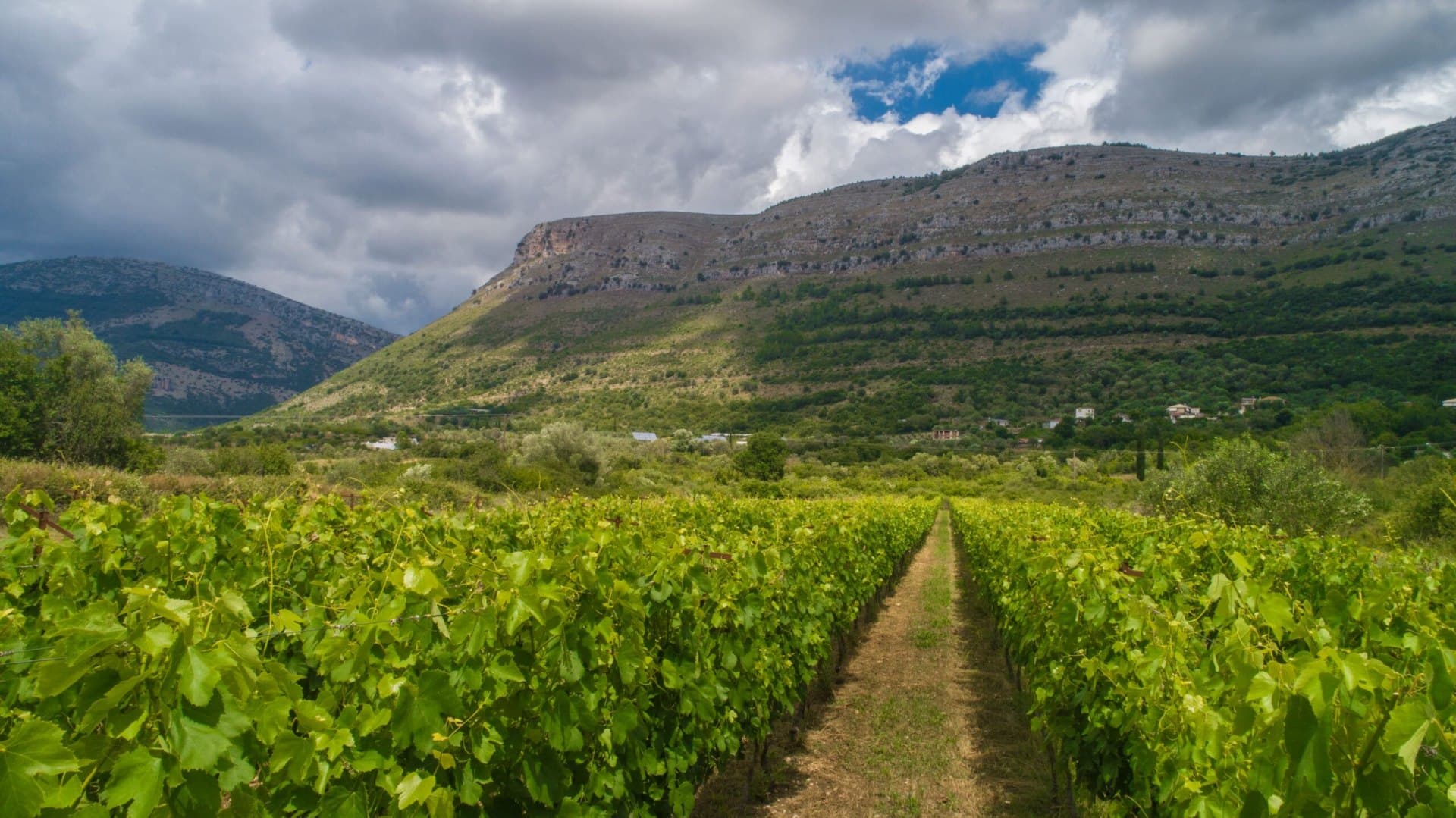 Zervas Winery - 50