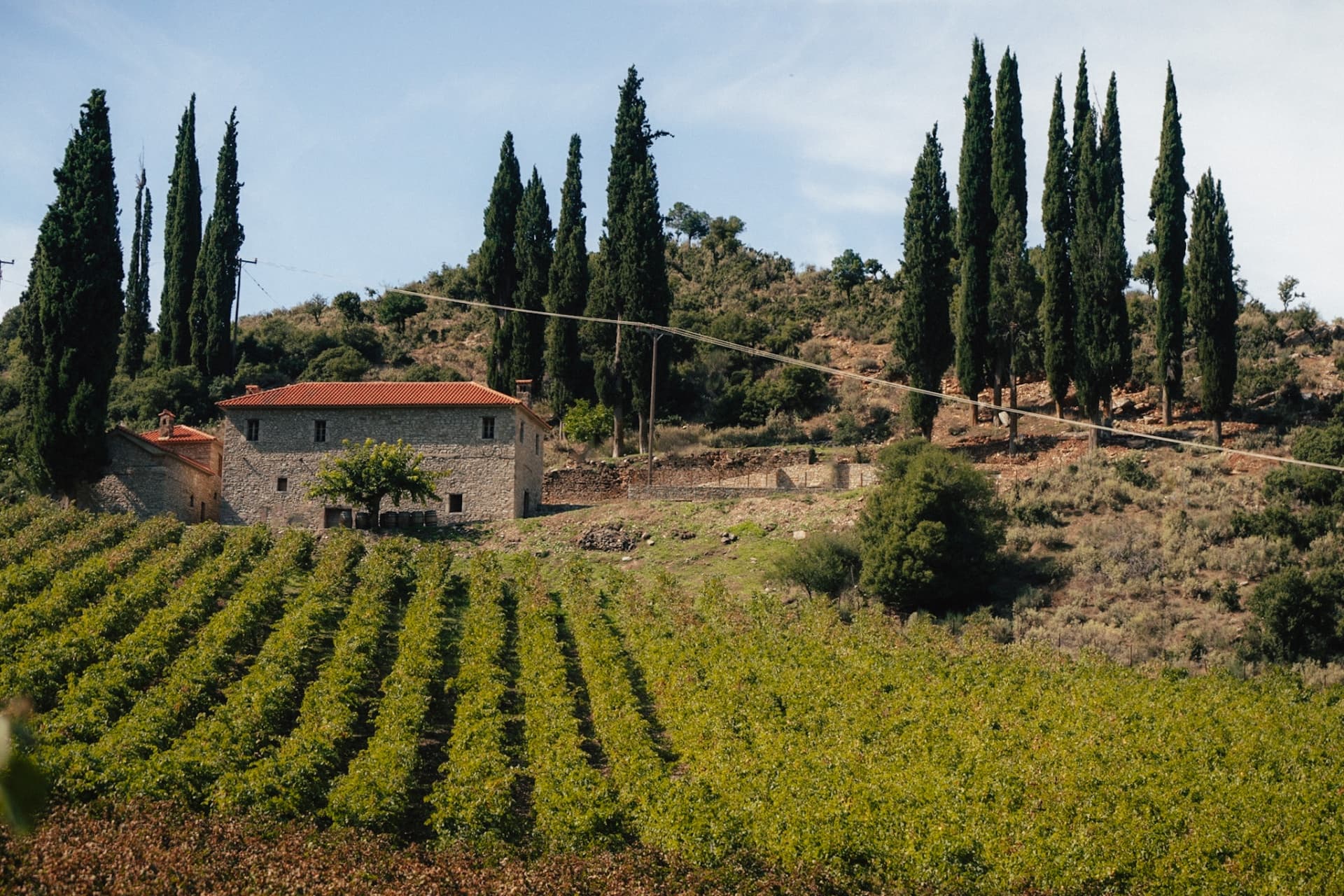 Estate Mega Spileo - 11