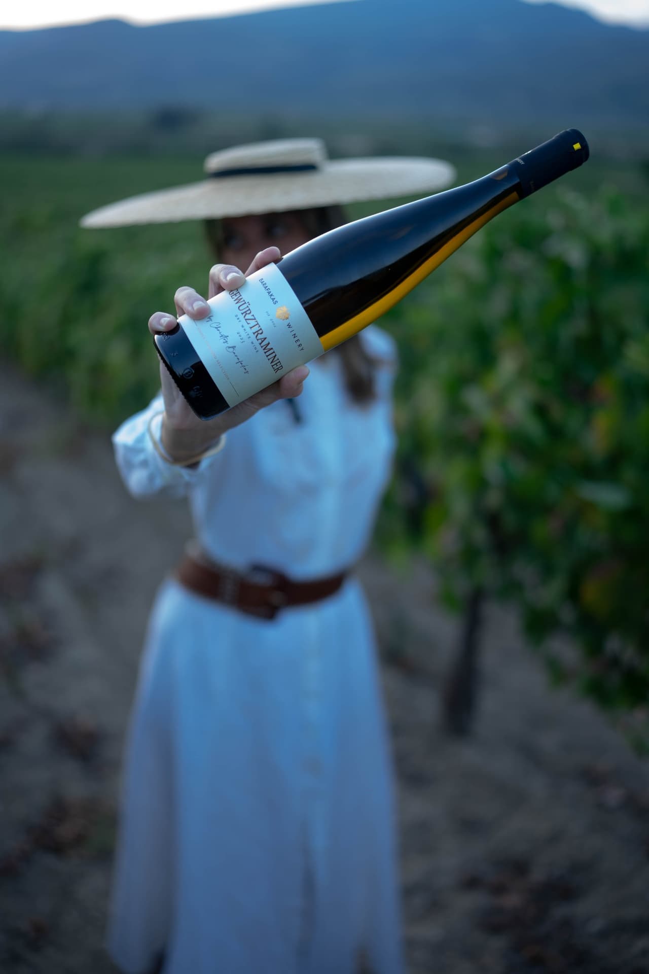 BARAFAKAS WINERY - 3
