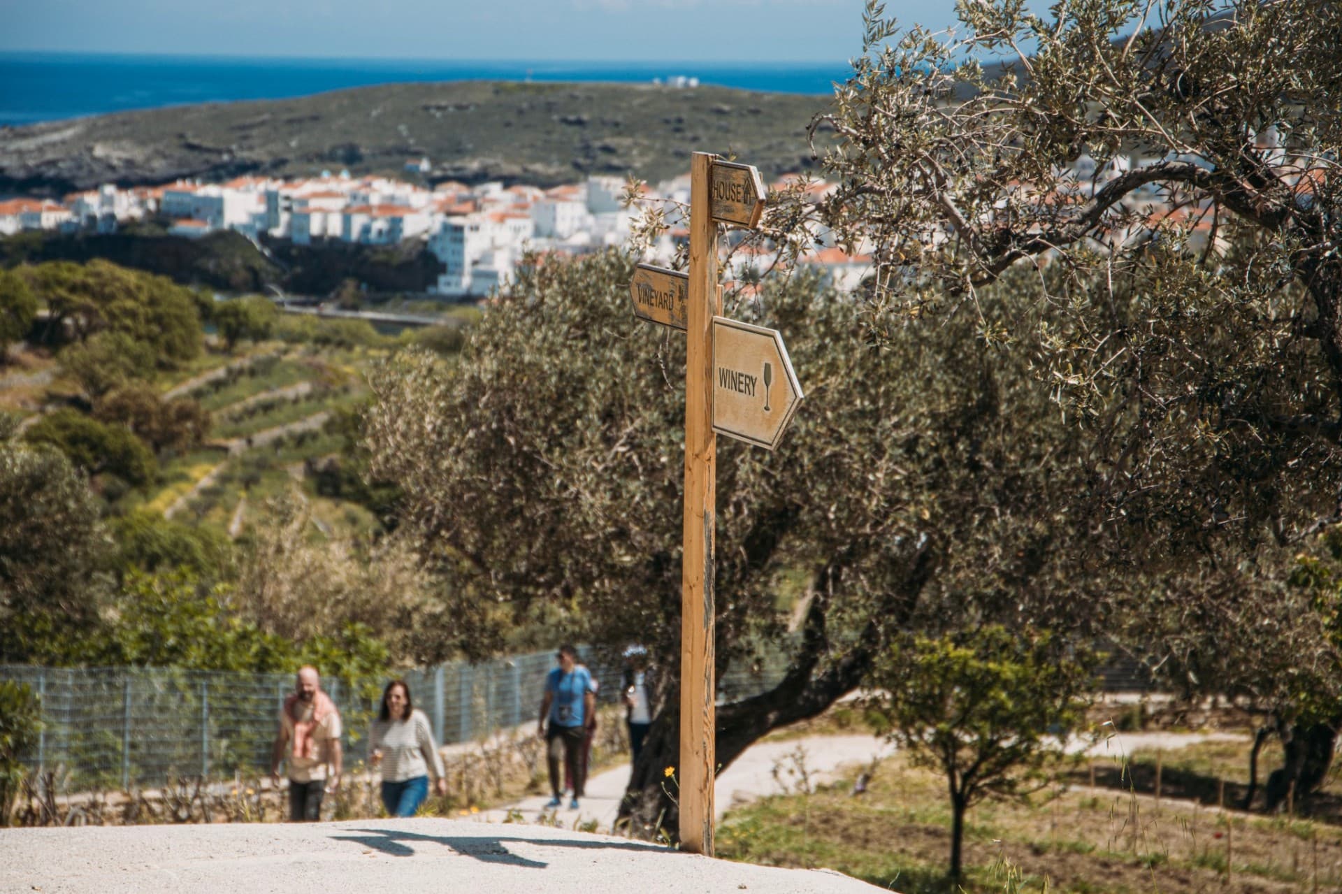 Kourtesis Wine Estate - 5