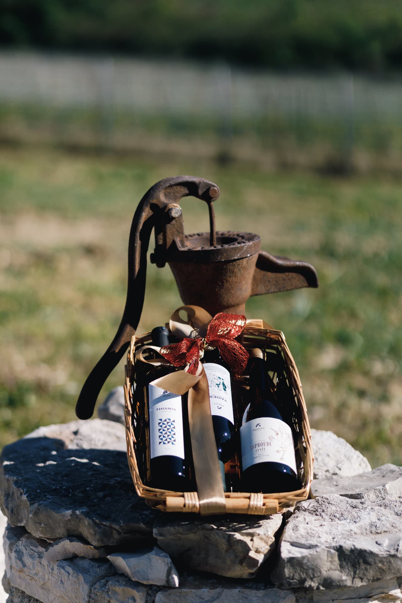 Zervas Winery - 38