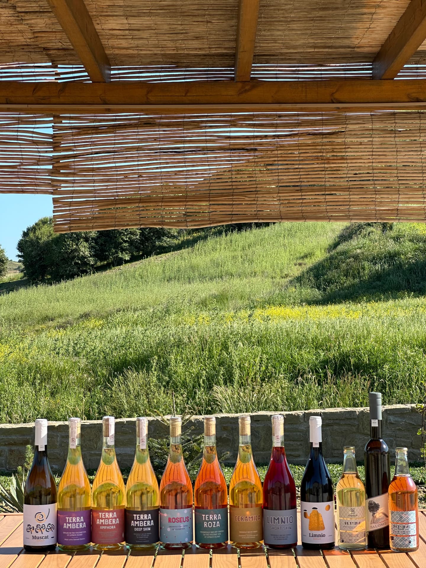 Garalis Winery - 13