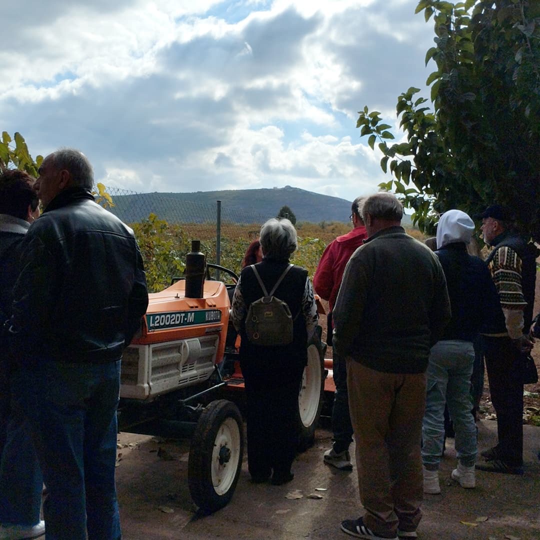 Armathos Winery - 9