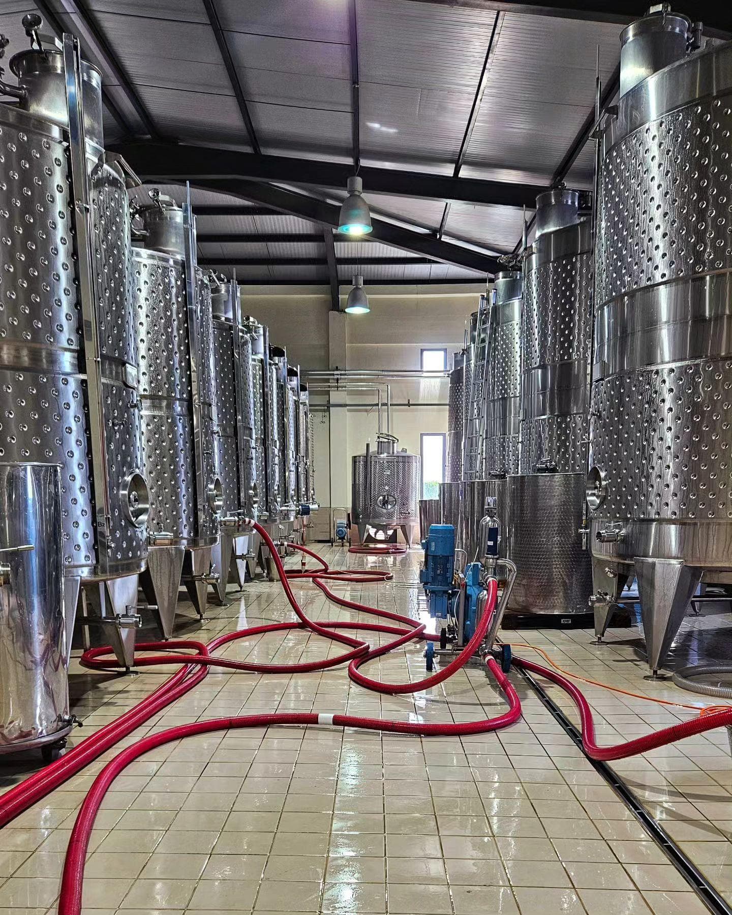 Winemaking Philosophy