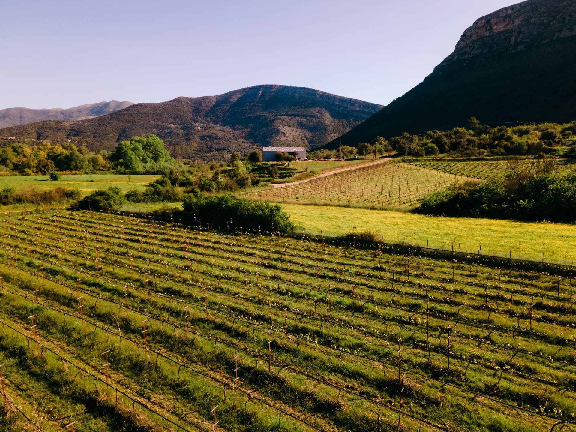 Zervas Winery - 6