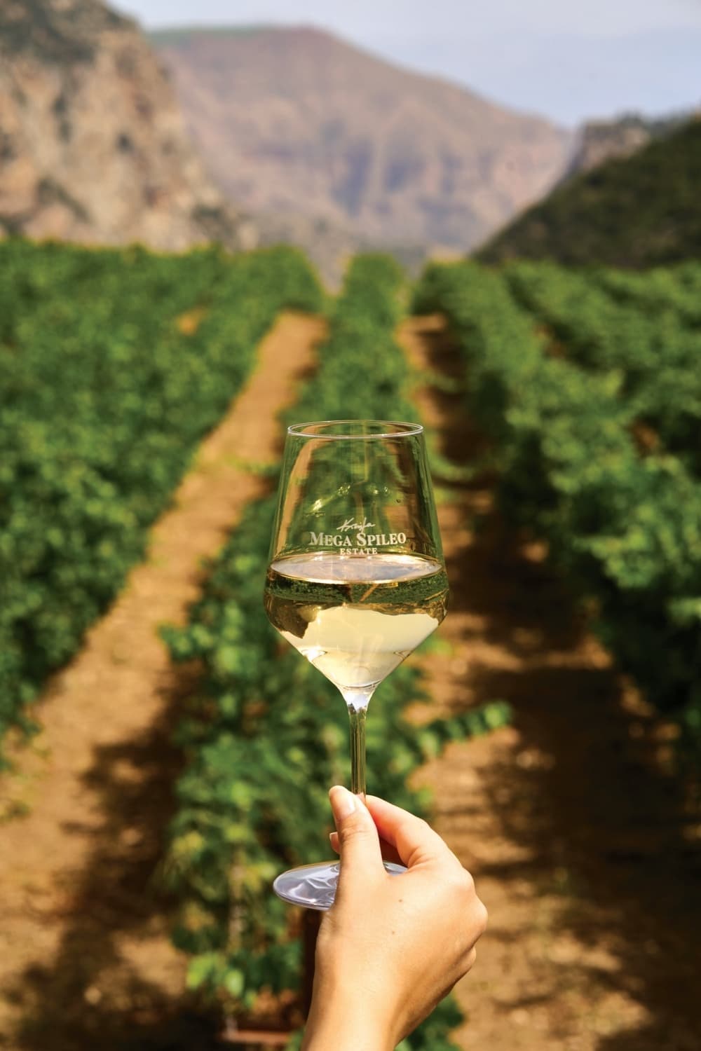 Winemaking Philosophy