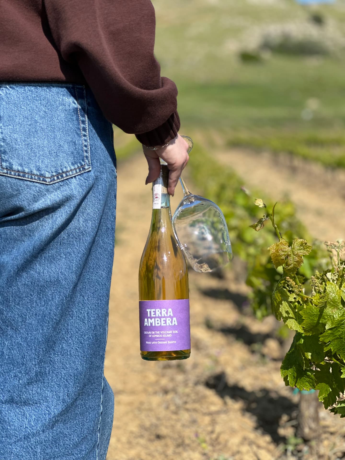 Garalis Winery - 5