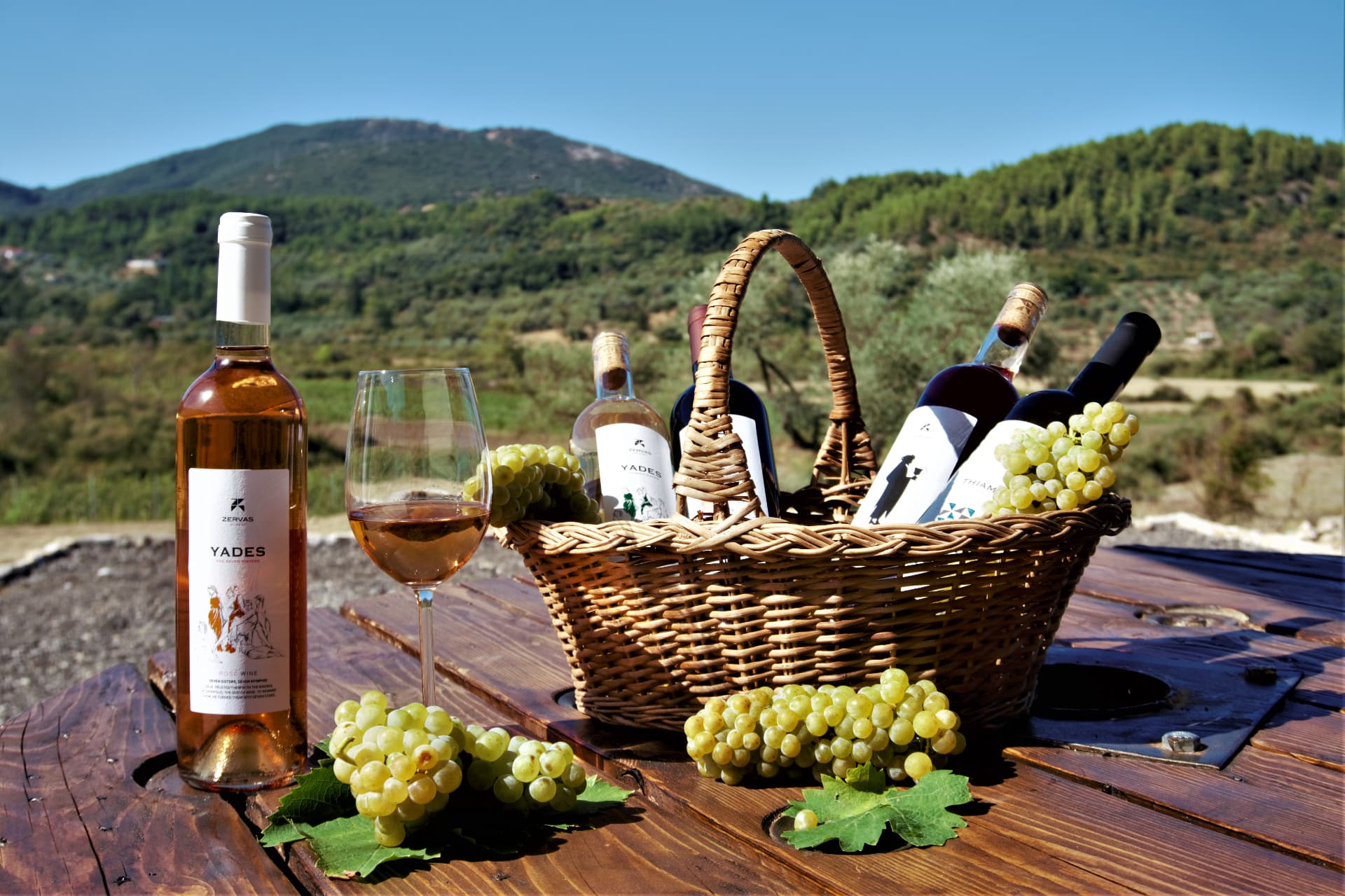 Zervas Winery - 4