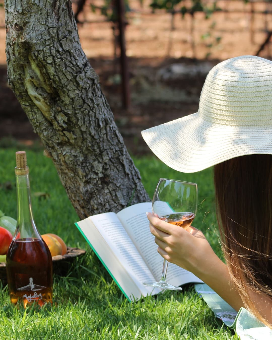 Armathos Winery - 12