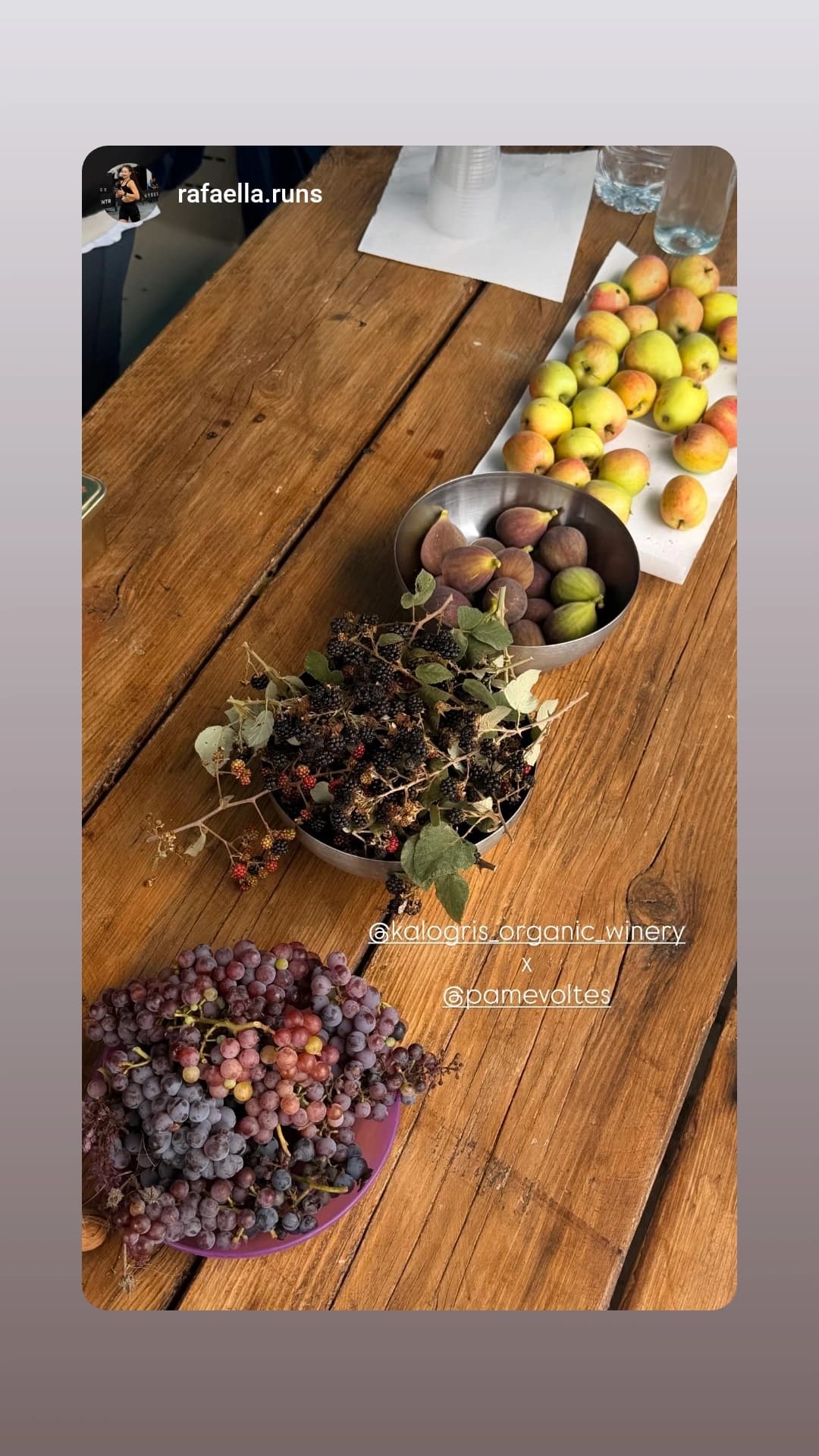 Kalogris Organic Winery - 34