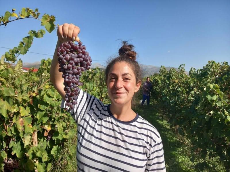 Kalogris Organic Winery - 30