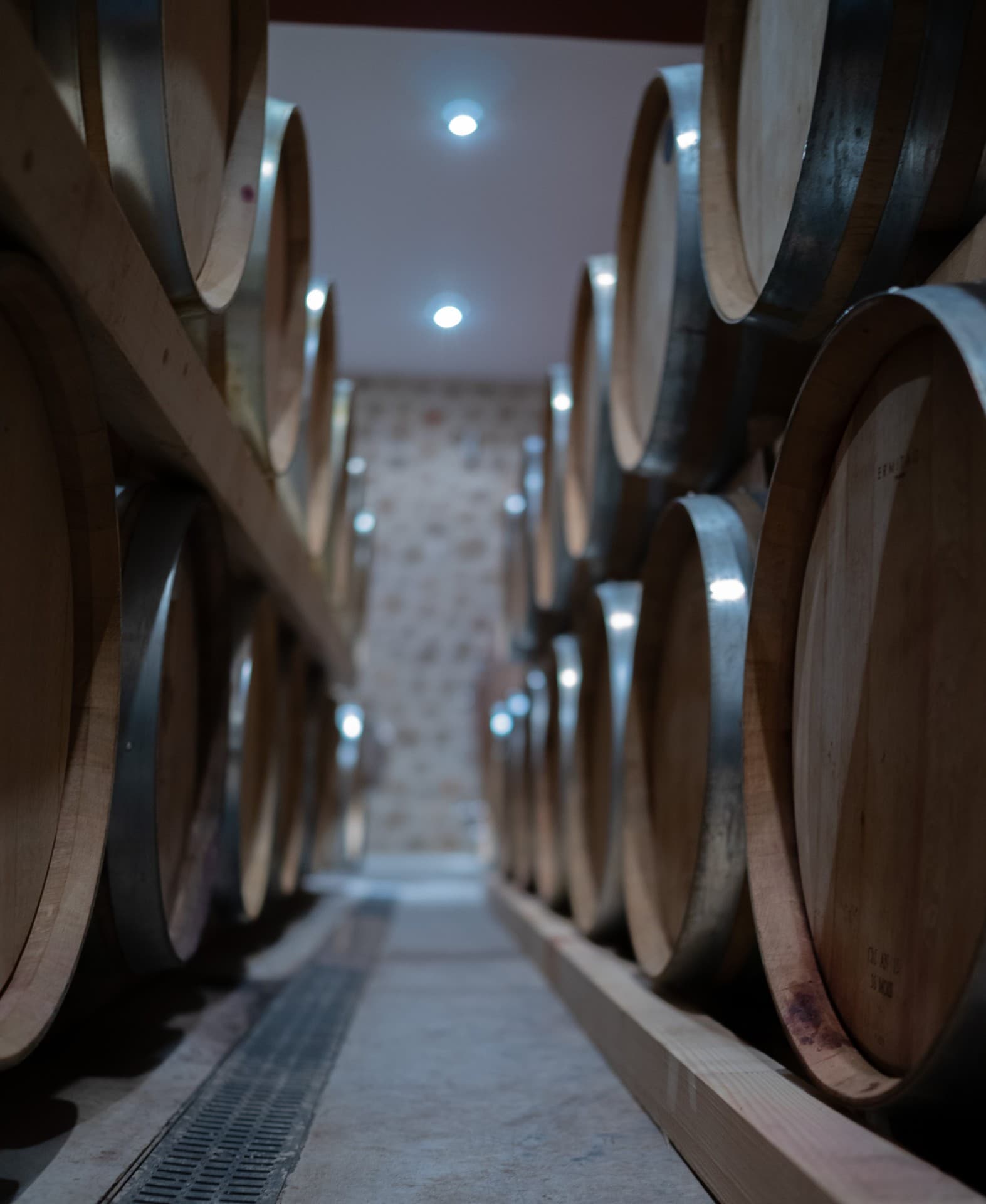 BARAFAKAS WINERY - 4