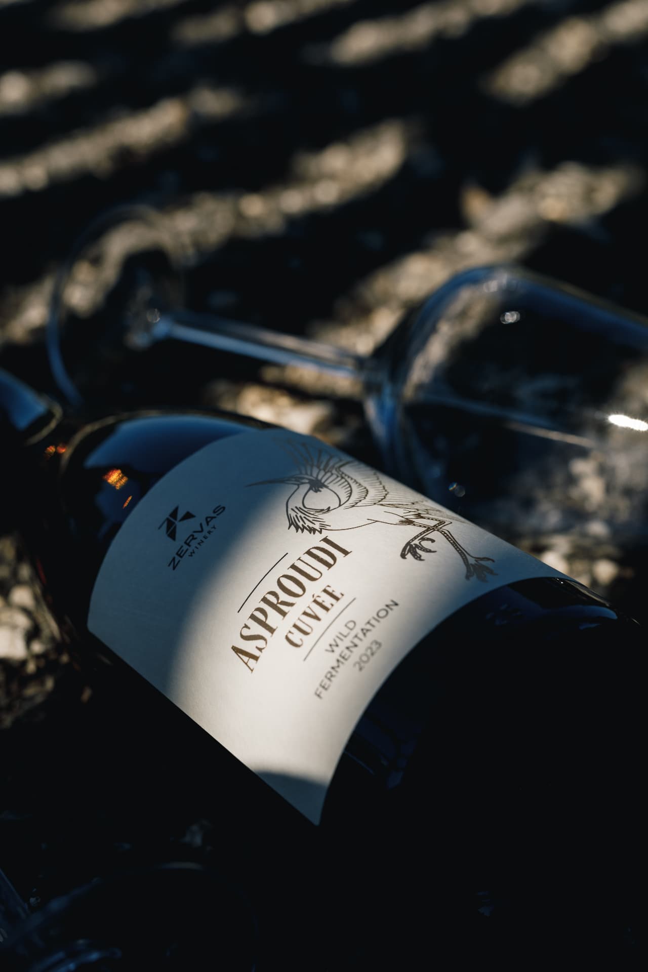 Zervas Winery - 26