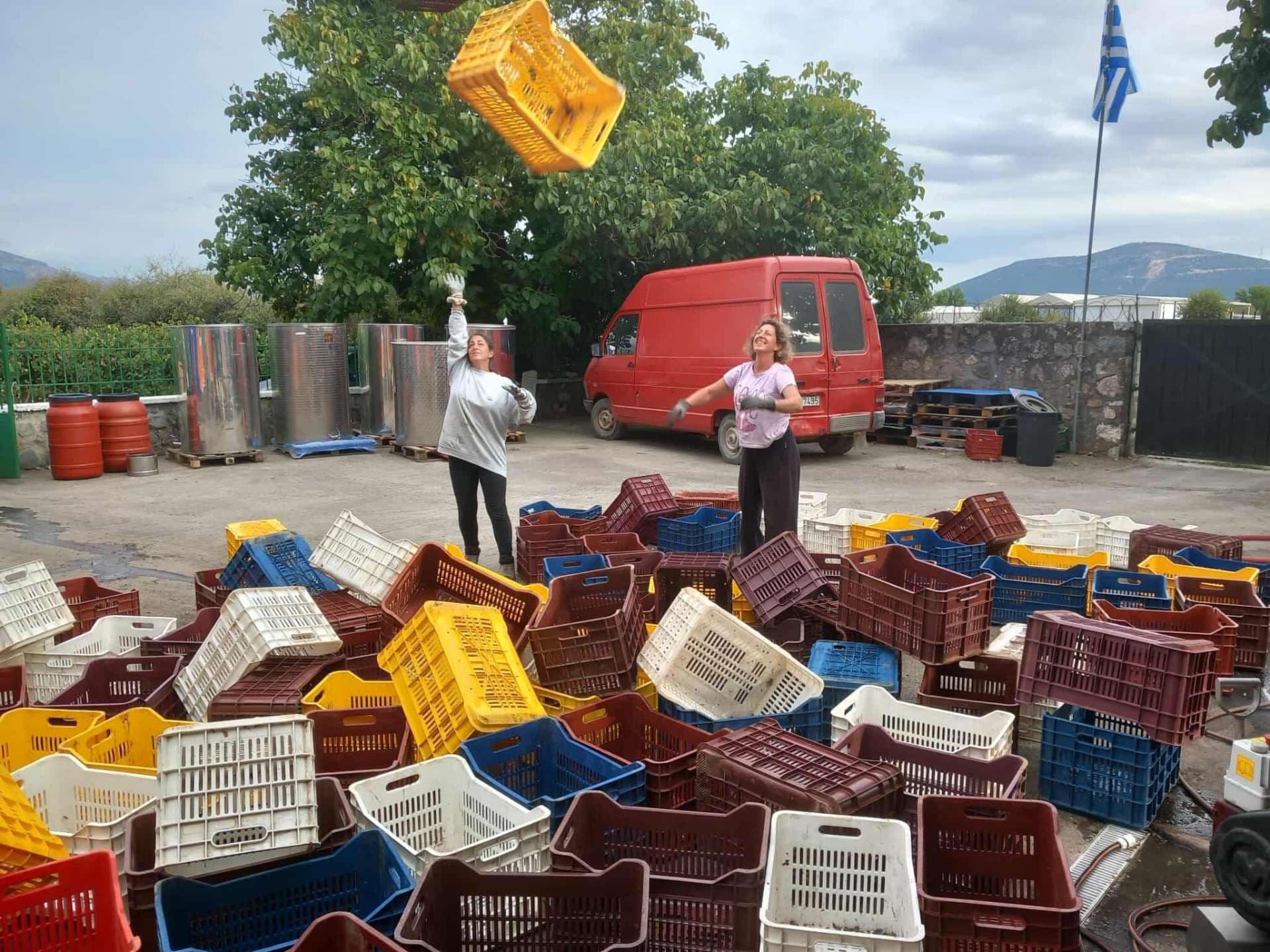 Kalogris Organic Winery - 22