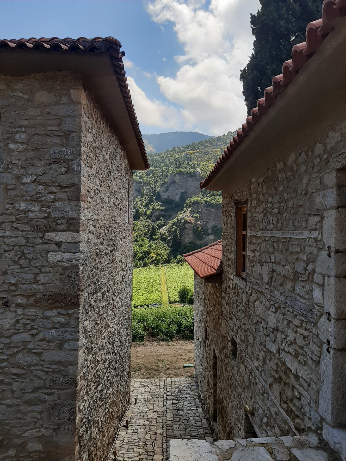 Estate Mega Spileo - 8