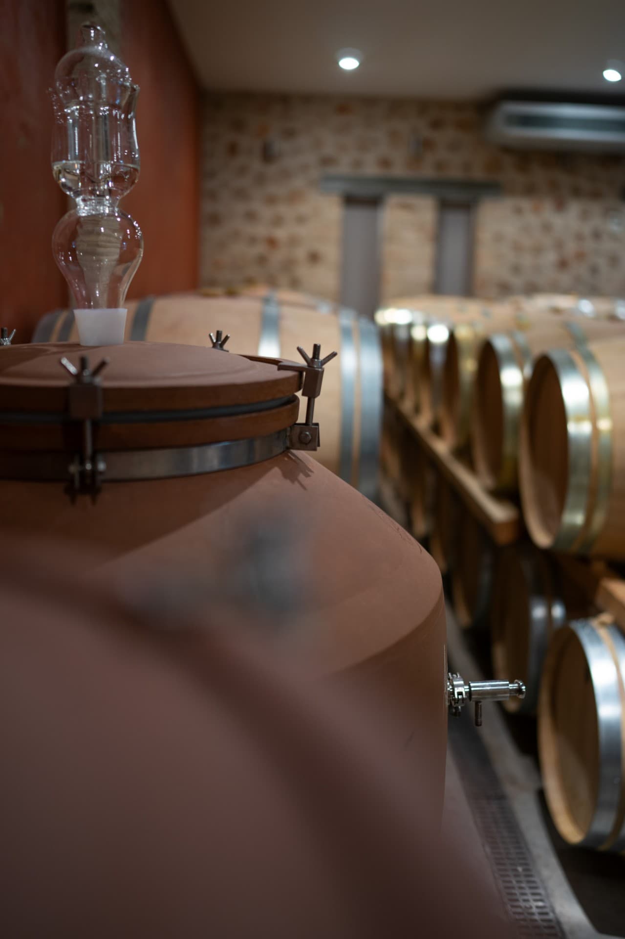 BARAFAKAS WINERY - 2
