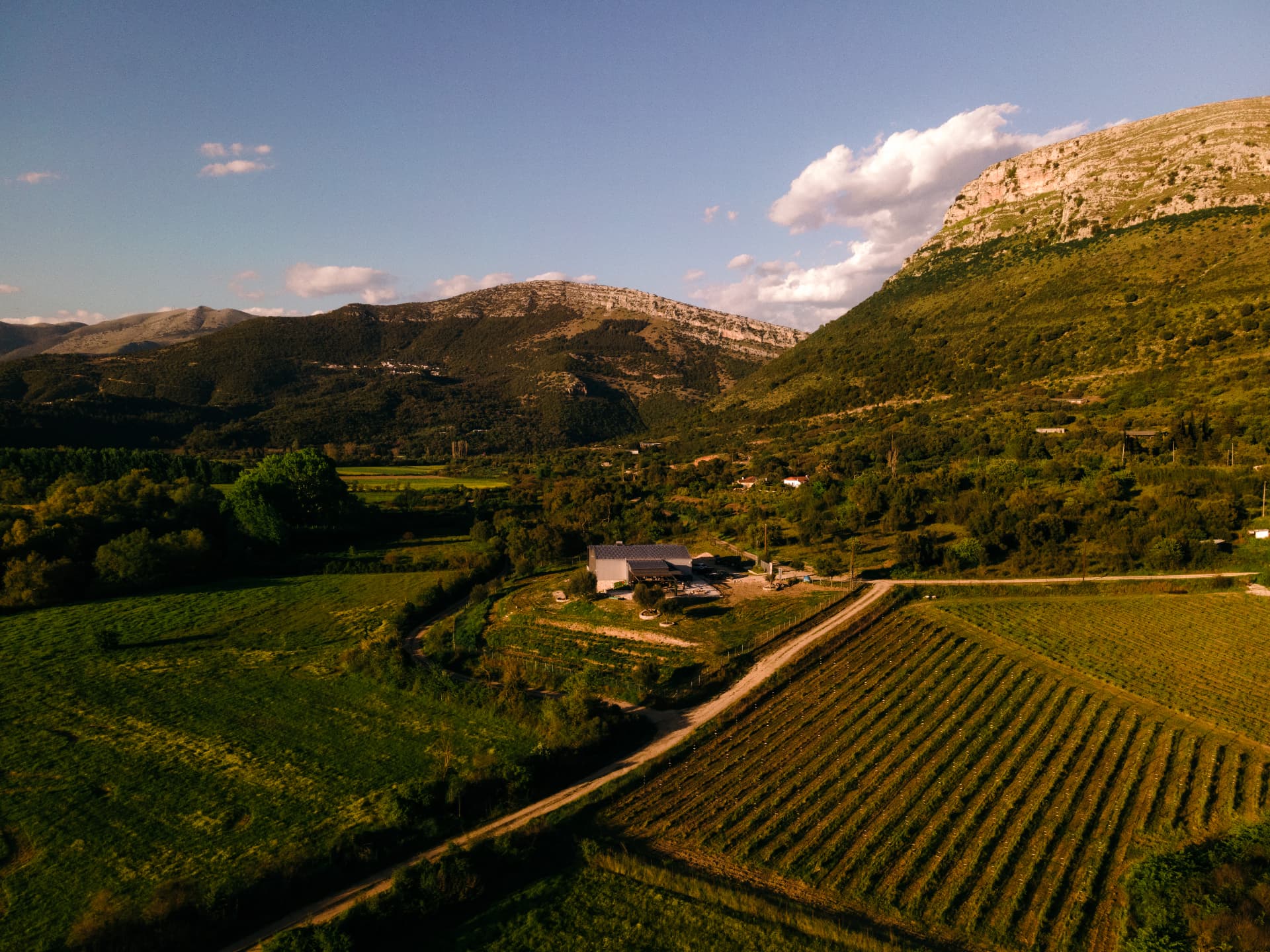 Zervas Winery - 13