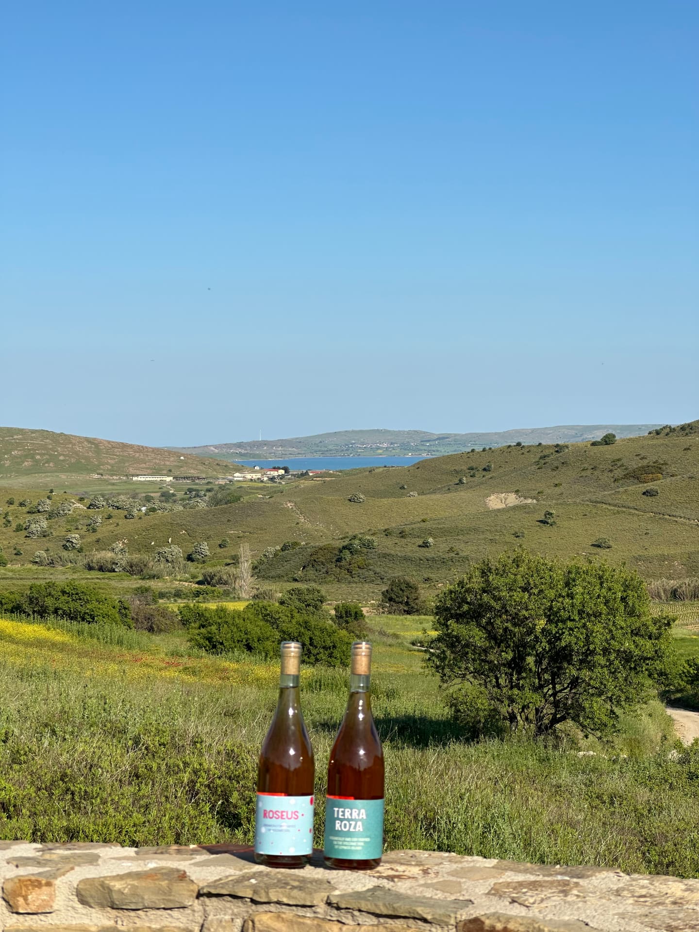 Garalis Winery - 11
