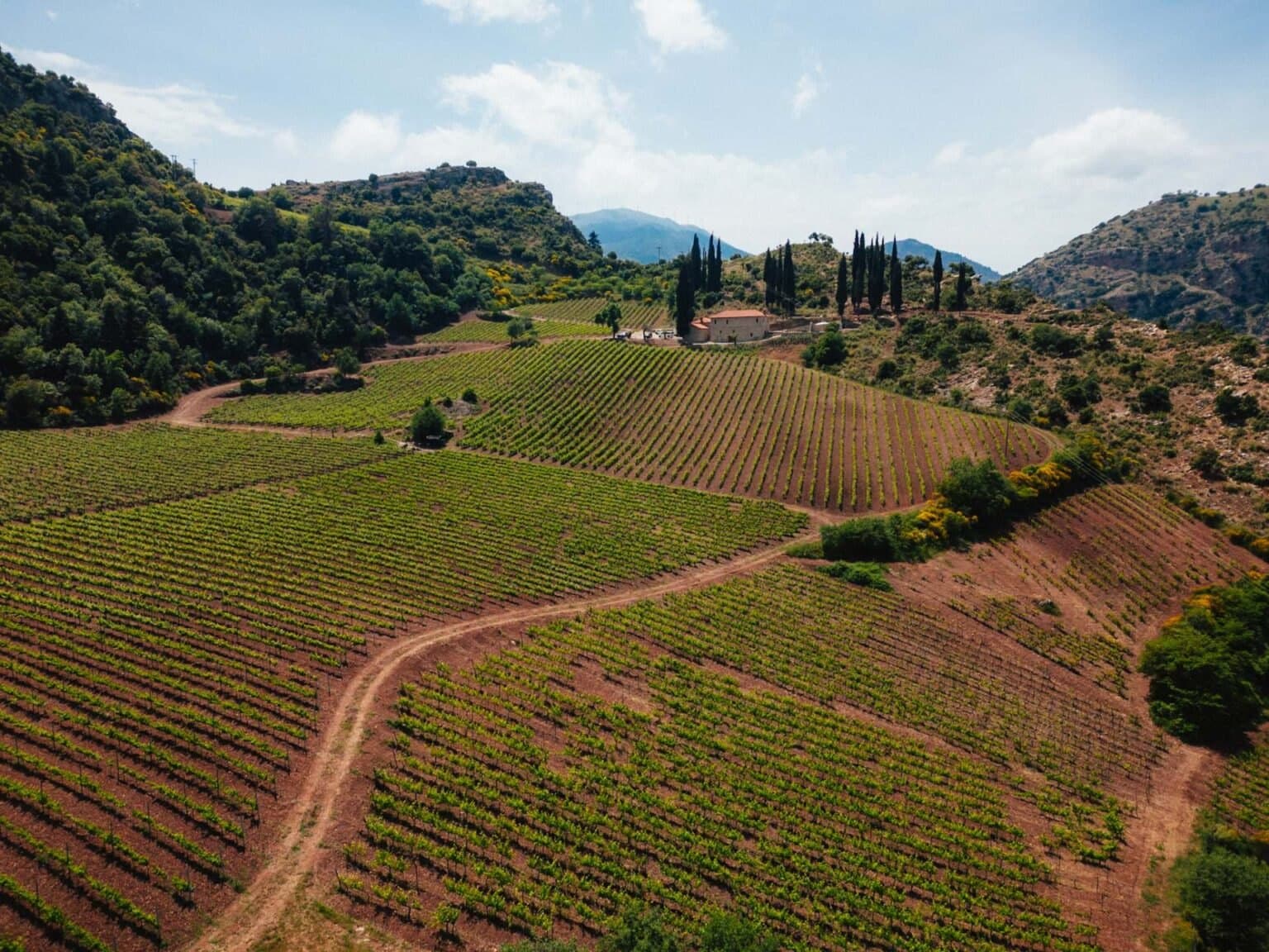 Terroir