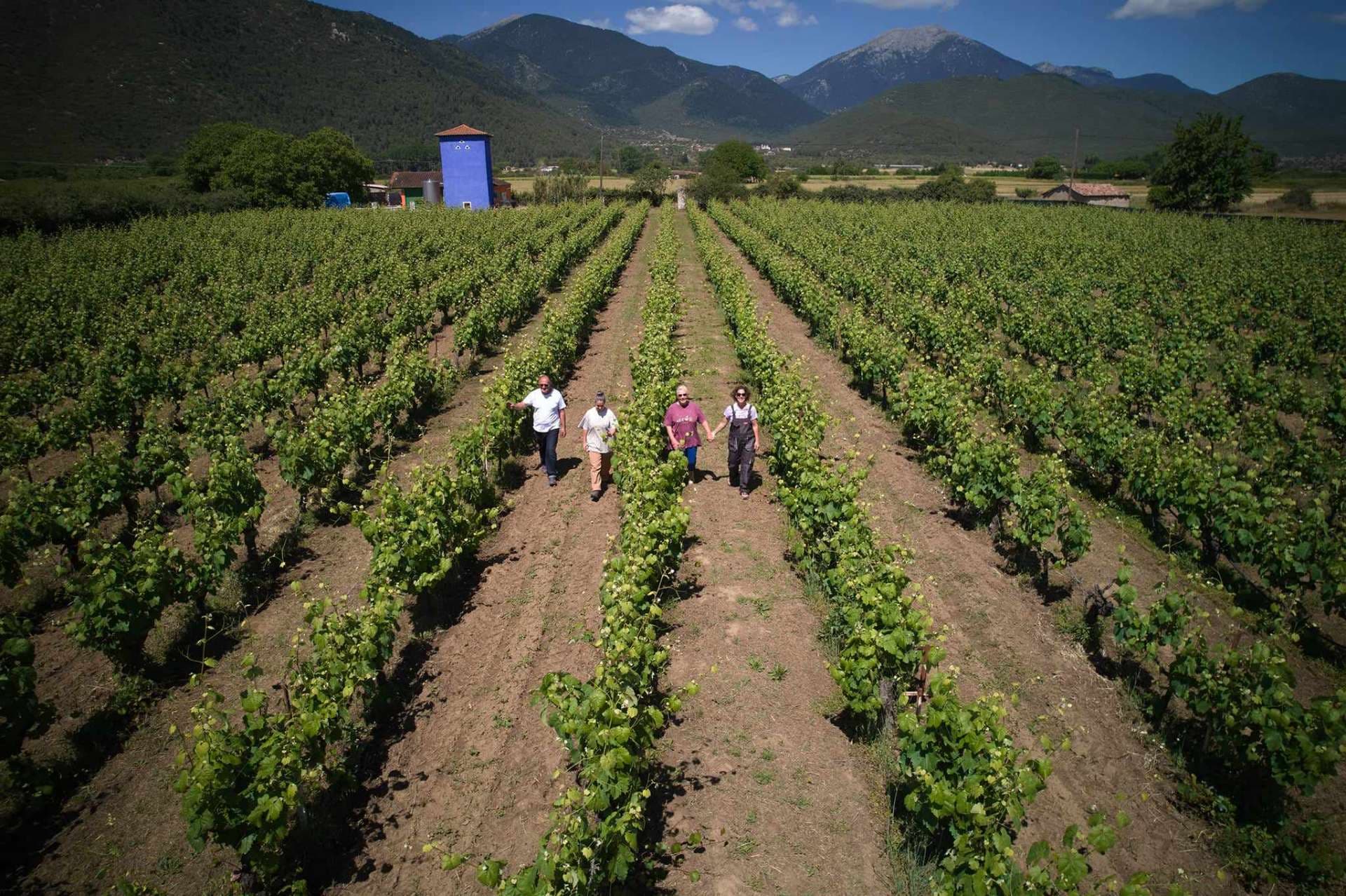 Kalogris Organic Winery - 13