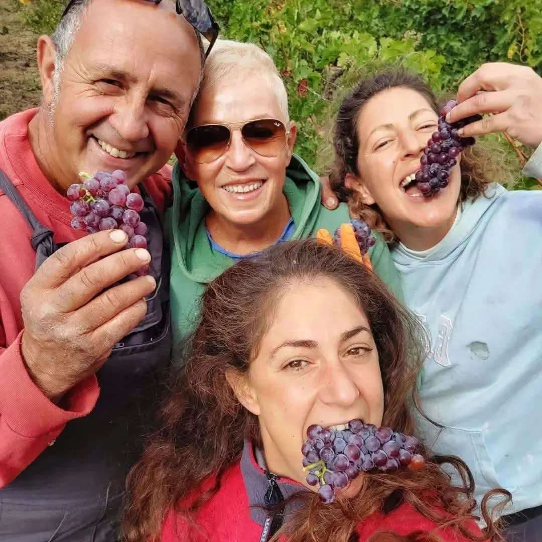 Kalogris Organic Winery
