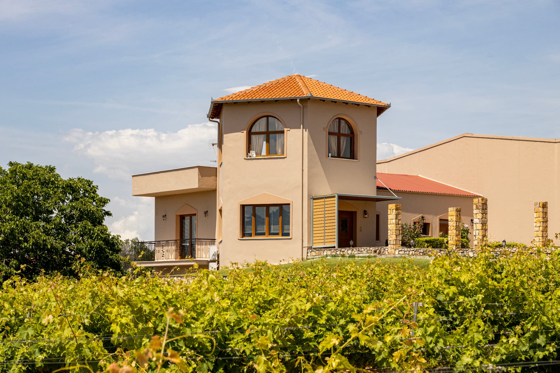 ESTATE MANOLESAKIS - 7