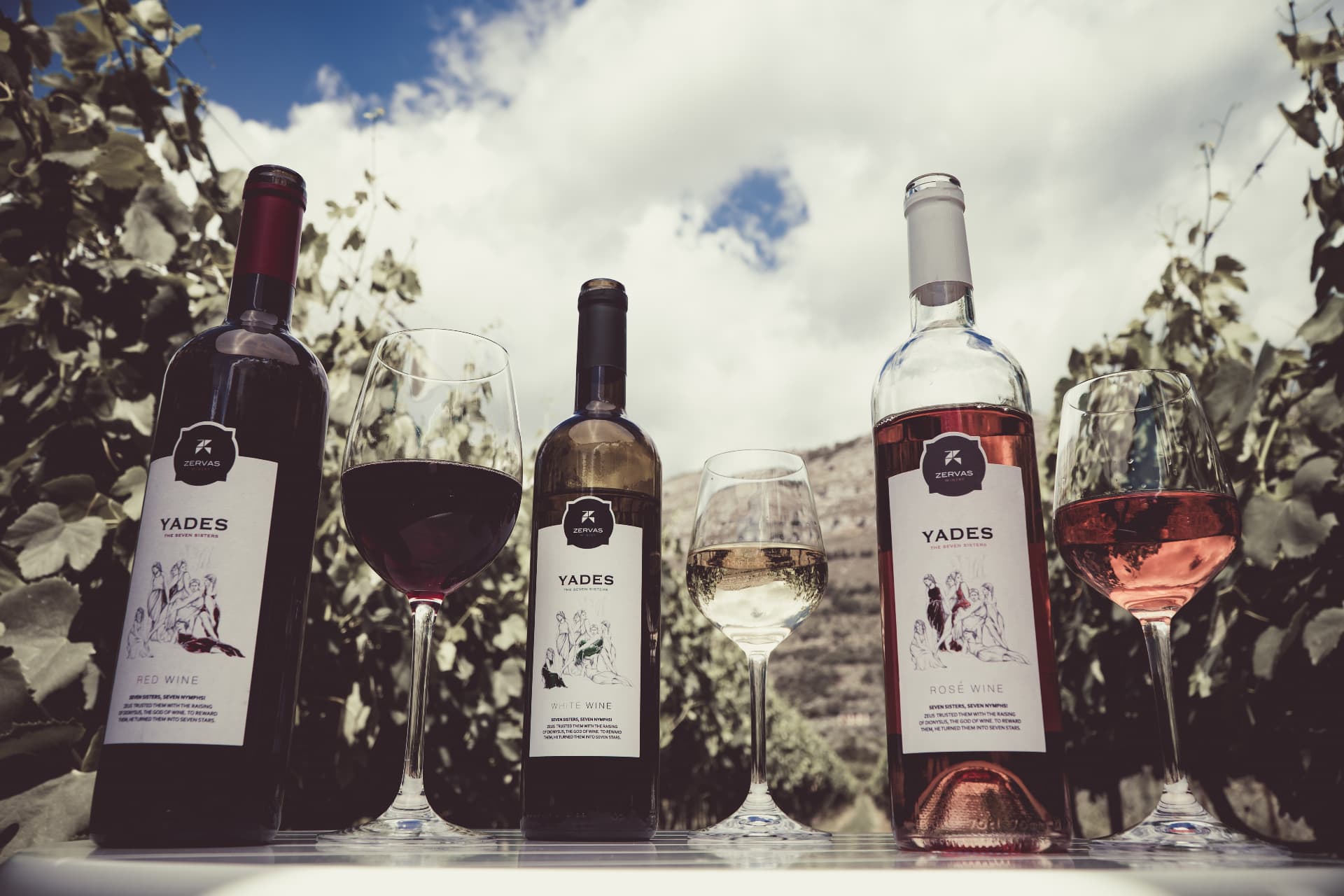 Zervas Winery - 8