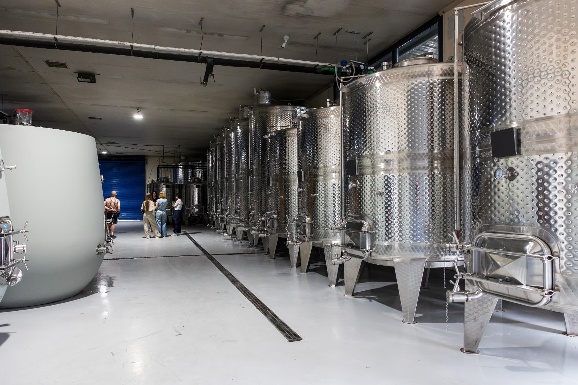 Oenops Wines - 10