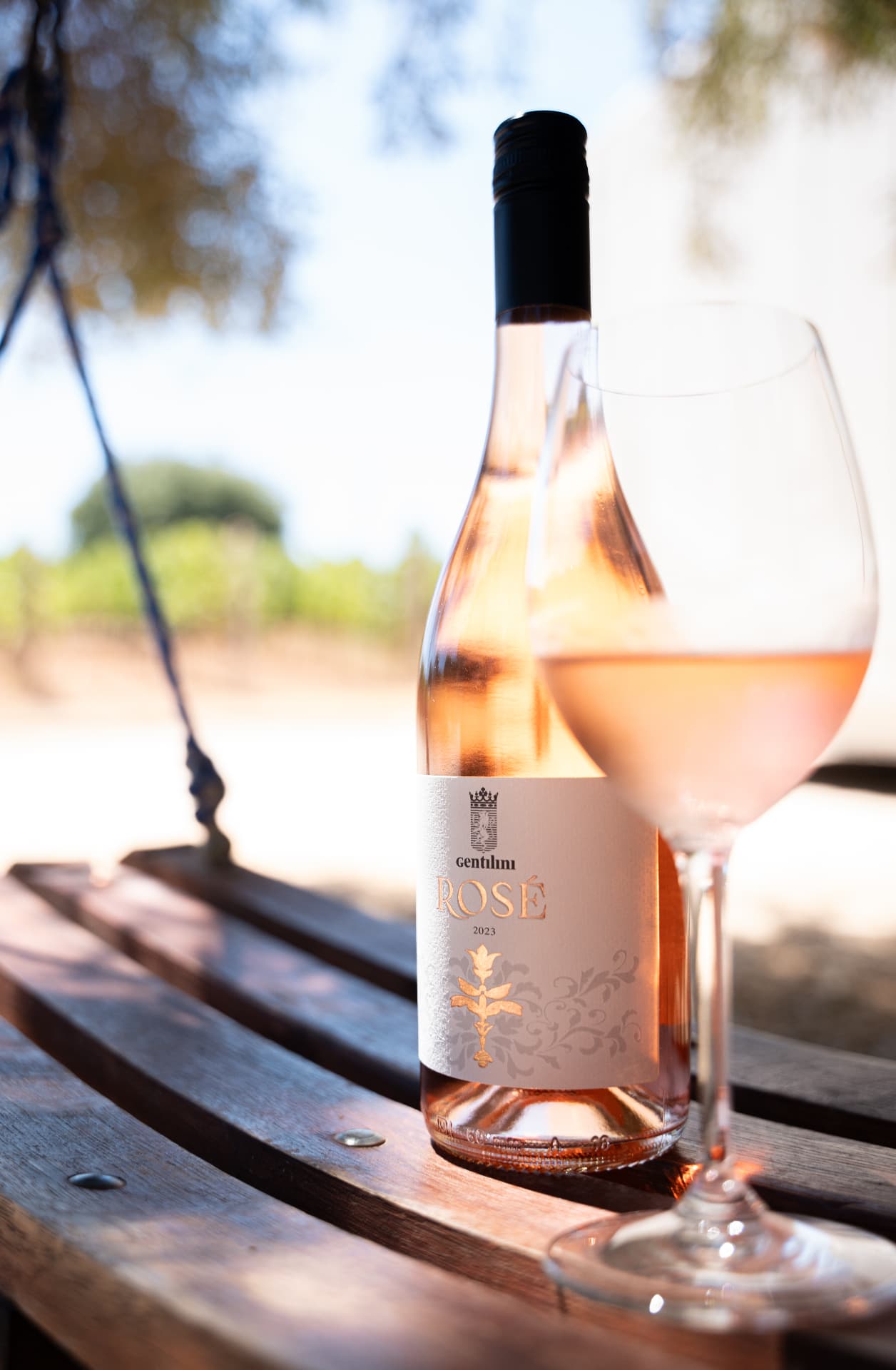 Gentilini Winery & Vineyards - 7